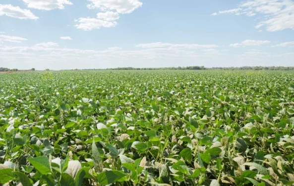 Crédito: Keven Lopes/Governo do Tocantins