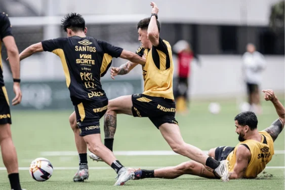 Foto: Raul Baretta/ Santos FC