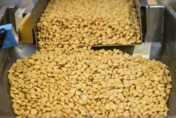 País tem produção superior a 800 mil toneladas em uma área aproximada de 220 mil hectares — Foto: Grupo Santa Helena/Divulgação