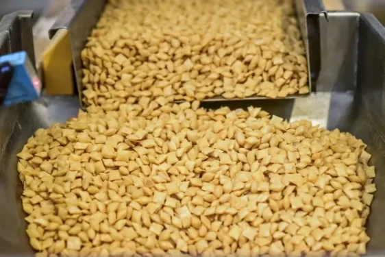 País tem produção superior a 800 mil toneladas em uma área aproximada de 220 mil hectares — Foto: Grupo Santa Helena/Divulgação