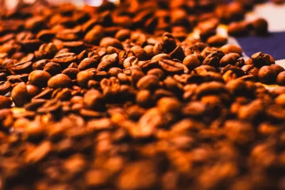 O movimento de correção no café acontece após os contratos fecharem o último pregão em alta de 2,45% — Foto: Wenderson Araújo/CNA