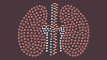 Malorny/Getty Images