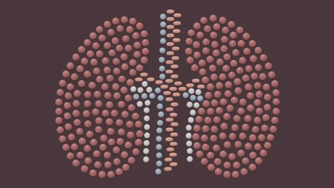 Malorny/Getty Images