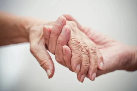 Foto: fzant / Getty Images