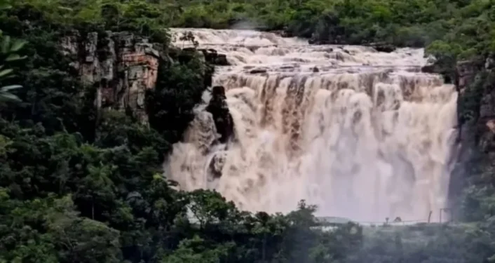 Reprodução/Redes sociais