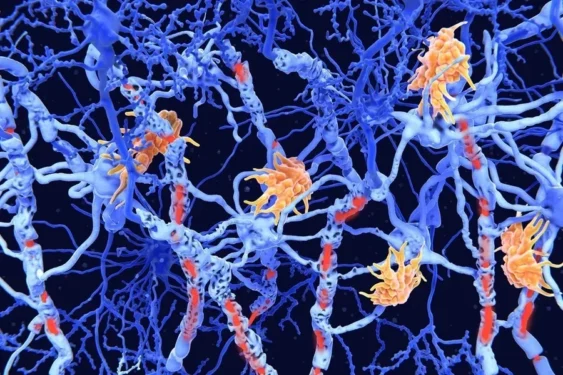 Foto: Juan Gaertner/Science Photo Library/Getty Images