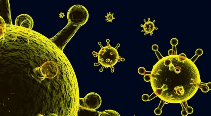 Sener Canoz / Getty Images