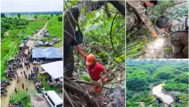 Reprodução Instagram