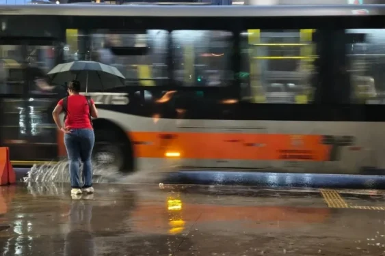 Foto: William Cardoso/Metrópoles