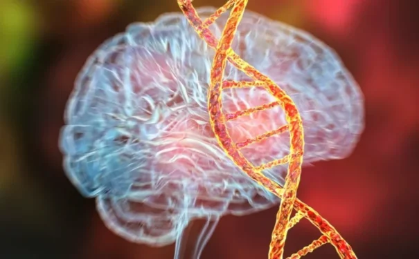 Dr_Microbe/Getty Images