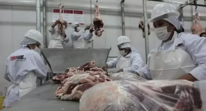 Produto alcançou 177 destinos no ano passado — Foto: Globo Rural