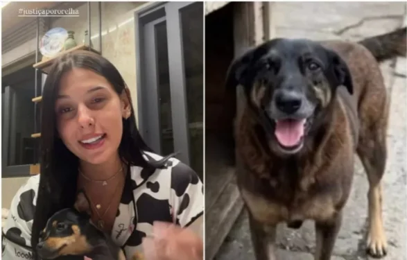 Reprodução/Redes sociais