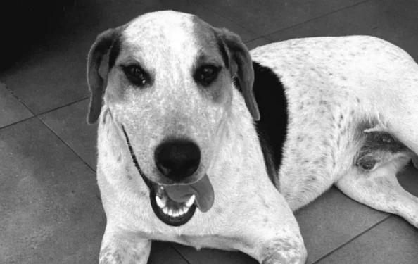 Reprodução/ Redes Sociais