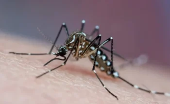 Joao Paulo Burini/Getty Images