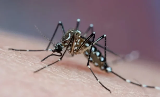 Joao Paulo Burini/Getty Images