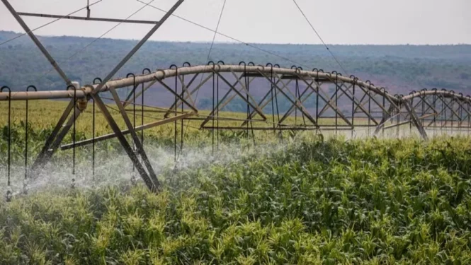Segundo o ministério, proposta representa mais autonomia no planejamento das atividades dos produtores rurais — Foto: Wenderson Araujo/CNA