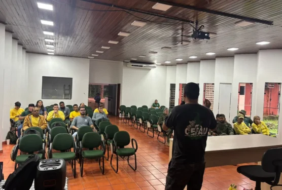 A capacitação foi realizada com foco na avaliação, contenção e transporte de animais silvestres - Foto: Naturatins/Governo do Tocantins