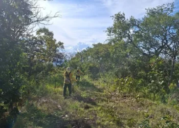 Equipe realiza preparação com limpeza de aceiros em áreas remotas da Unidade de Conservação - Foto: Naturatins/Governo do Tocantins