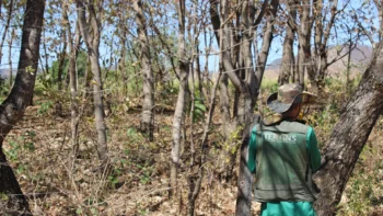 Os trabalhos de georreferenciamento estão concentrados na 5ª, 6ª e 7ª etapas do loteamento Combinado Agro Urbano de Arraias. - Foto: Uendel Souza/Governo do Tocantins.