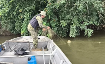 Naturatins concluiu mais uma etapa da Operação Piracema, com foco no cumprimento das regras do período de defeso - Foto: Naturatins/Governo do Tocantins