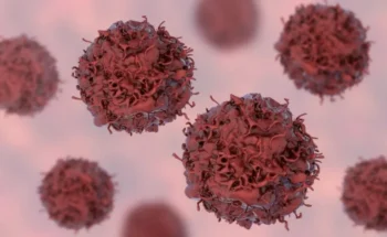 KATERYNA KON/SCIENCE PHOTO LIBRARY/ Getty Images