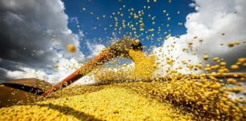 Em Mato Grosso, Estado que lidera a produção nacional de soja, as produtividades têm superado as estimativas iniciais — Foto: Wenderson Araujo/CNA