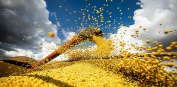 Em Mato Grosso, Estado que lidera a produção nacional de soja, as produtividades têm superado as estimativas iniciais — Foto: Wenderson Araujo/CNA