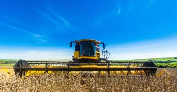 Produção de soja brasileira está reduzindo as cotações do grão — Foto: Antônio Neto/Embrapa