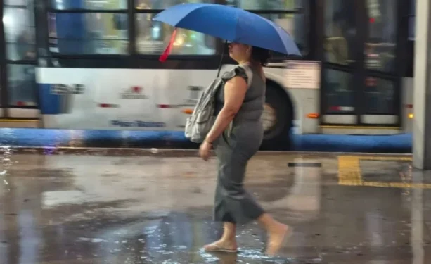 William Cardoso/Metrópoles