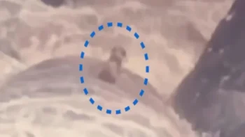 Governo do RJ/ Reprodução