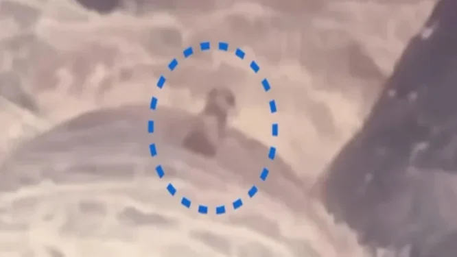 Governo do RJ/ Reprodução