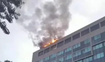 TV Globo/ Reprodução