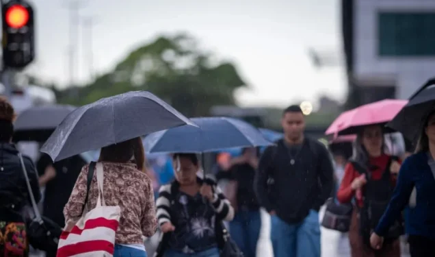 KEBEC NOGUEIRA/METRÓPOLES @kebecfotografo