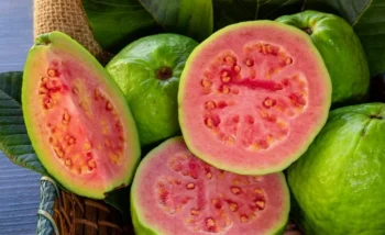 Murilo Gualda/ Getty Images