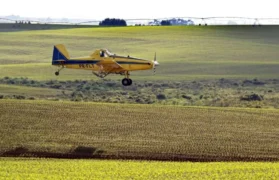 Modelo AirTractor é o mais presente na aviação agrícola no Brasil — Foto: Divulgação Sindag