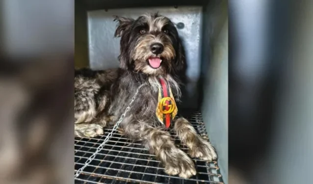 Material cedido ao Metrópoles