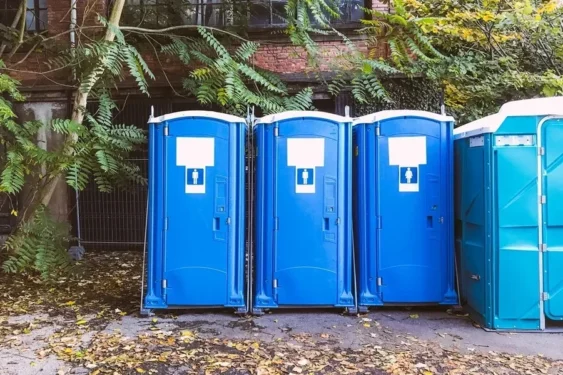 Foto: saulgranda / Getty Images