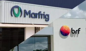 A Marfrig se tornou única acionista da BRF após processo de fusão entre as duas empresas, que criou a MBRF — Foto: Divulgação