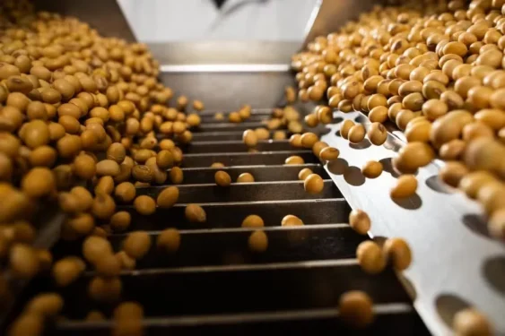 Até o momento, os sojicultores brasileiros negociaram 34% da safra 2025/26 que está em fase de colheita — Foto: Wenderson Araujo/CNA