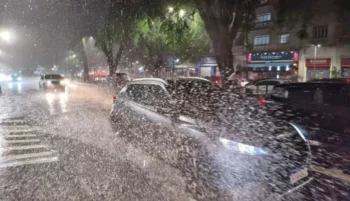 William Cardoso/Metrópoles