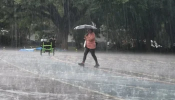 William Cardoso/Metrópoles