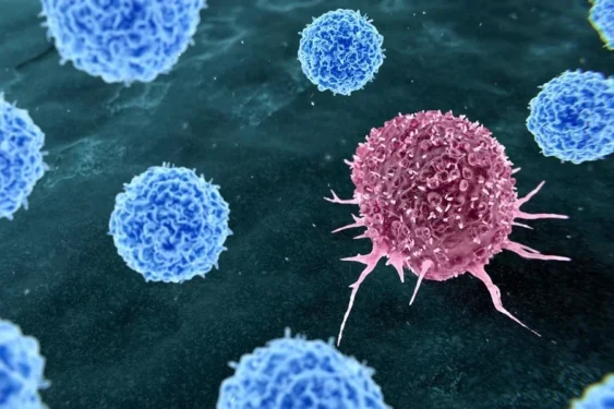 Foto: Thom Leach/Science Photo Library/Getty Images