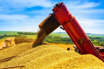 Colheita recorde no Brasil pressiona cotações da soja — Foto: Antônio Neto/Embrapa