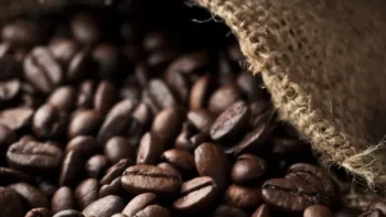 Produção brasileira de café deve crescer 17,2% em 2026 — Foto: Getty Images