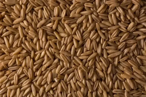 Avanço das cotações do trigo no país ocorre mesmo diante da desvalorização no mercado externo — Foto: evening_tao/Freepik