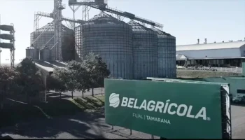 Dívidas da Belagrícola chegam a R$ 2,2 bilhões — Foto: Divulgação