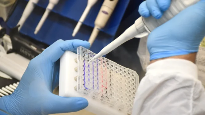 Fotos: Ananda Santos/Governo do Tocantins