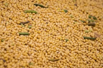 Alta da soja é impulsionada pela busca de oportunidades por parte dos investidores após as baixas recentes — Foto: Wenderson Araujo/CNA