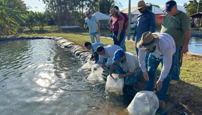 Crédito foto: Ruraltins/Governo do Tocantins