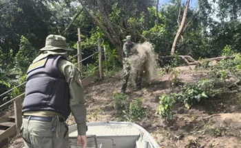O Naturatins concluiu uma operação de fiscalização intensiva voltada ao cumprimento das normas que regulamentam a pesca no Estado - Foto: Naturatins/Governo do Tocantins